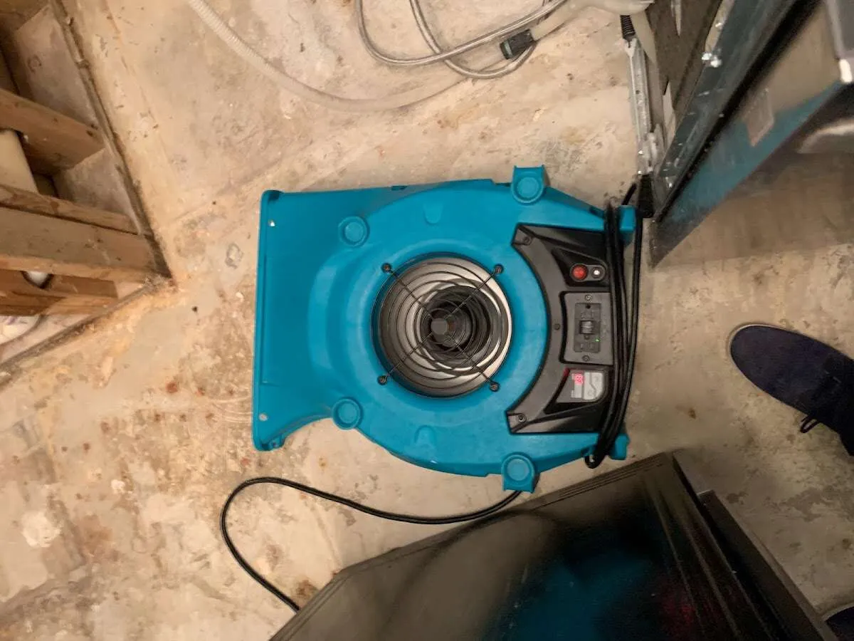 Air mover drying equipment for Mold Remediation & Removal in Demarest