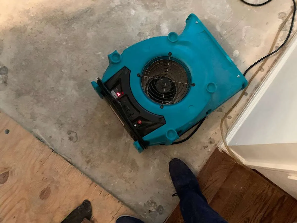 Air mover drying subfloor during Leak Detection & Repair in Demarest
